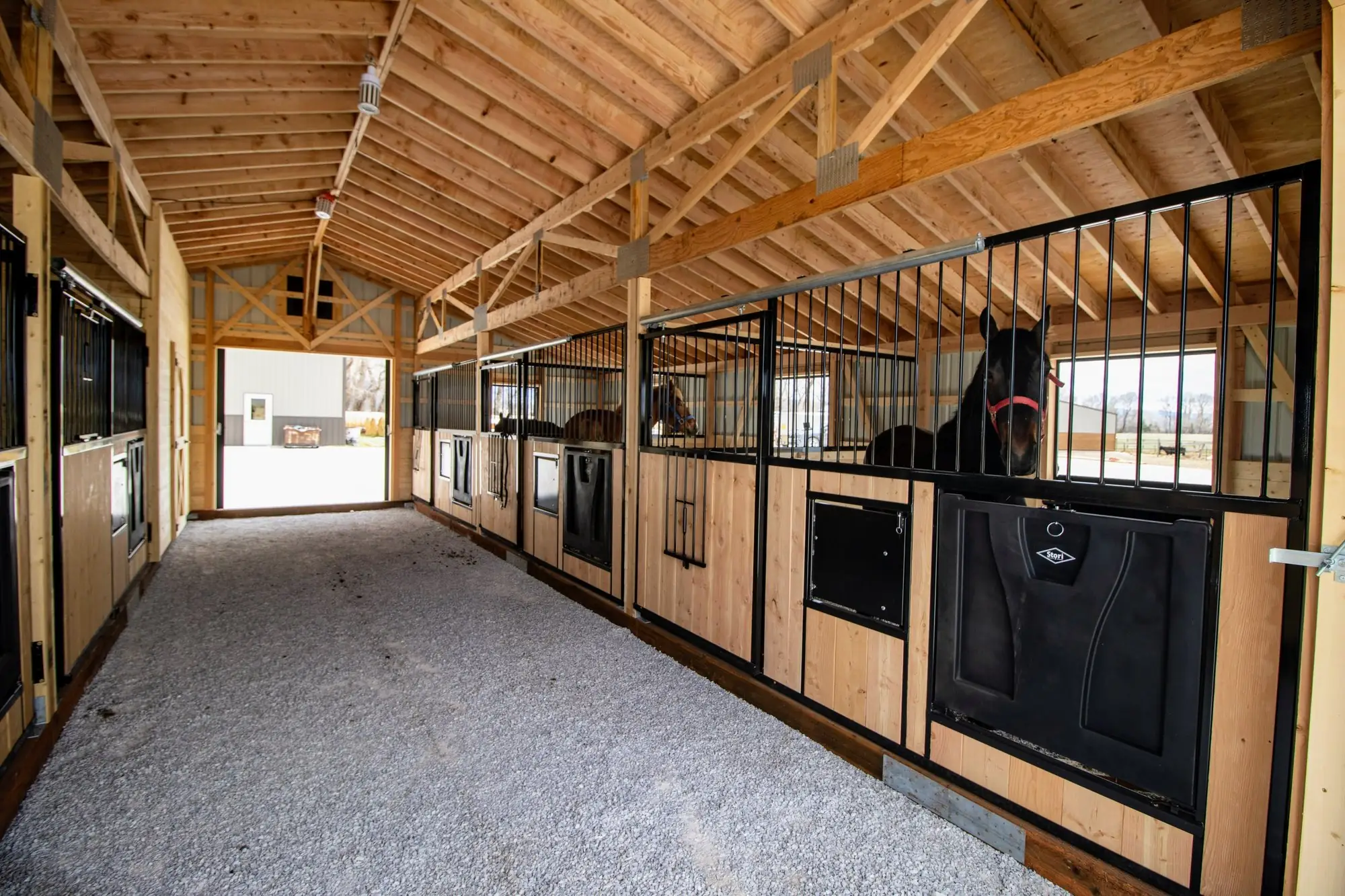 The 10-foot center alley of a 34×36 horse barn, stalls with black grilles down both sides, daylight at the far end
