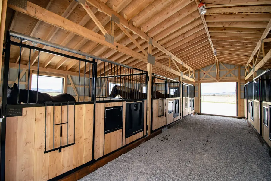 Row of 12×12 stalls with black grilles, horses inside, daylight down the center alley
